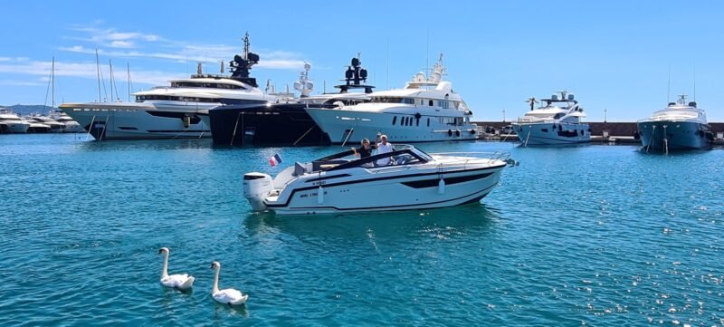 parker 800 expo cruiser stock 2024 2