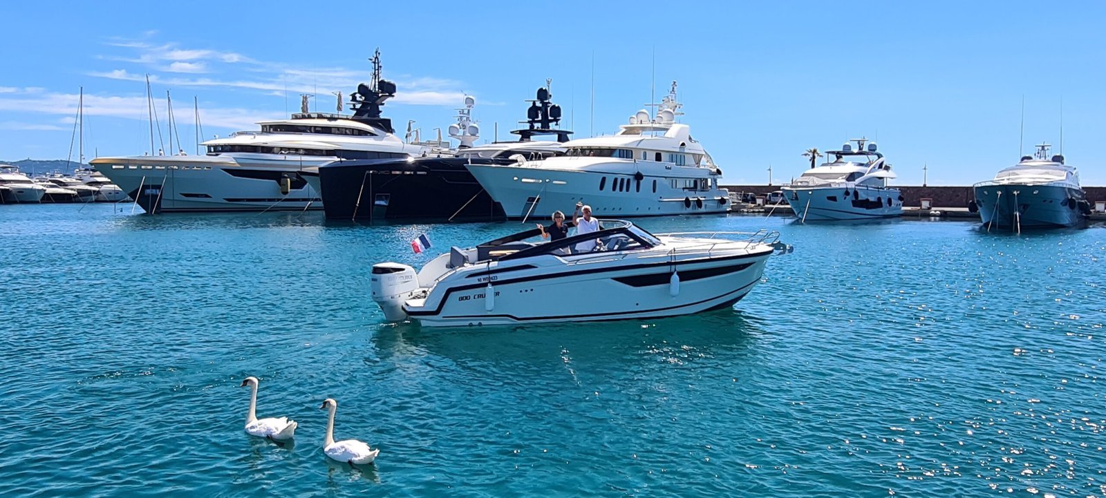 parker 800 expo cruiser stock 2024 2