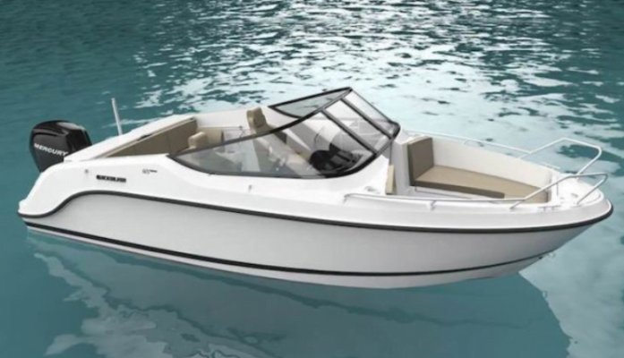 quick silver 555 bow rider occasion 1