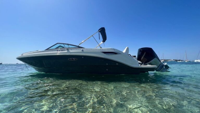 sea ray 250 1