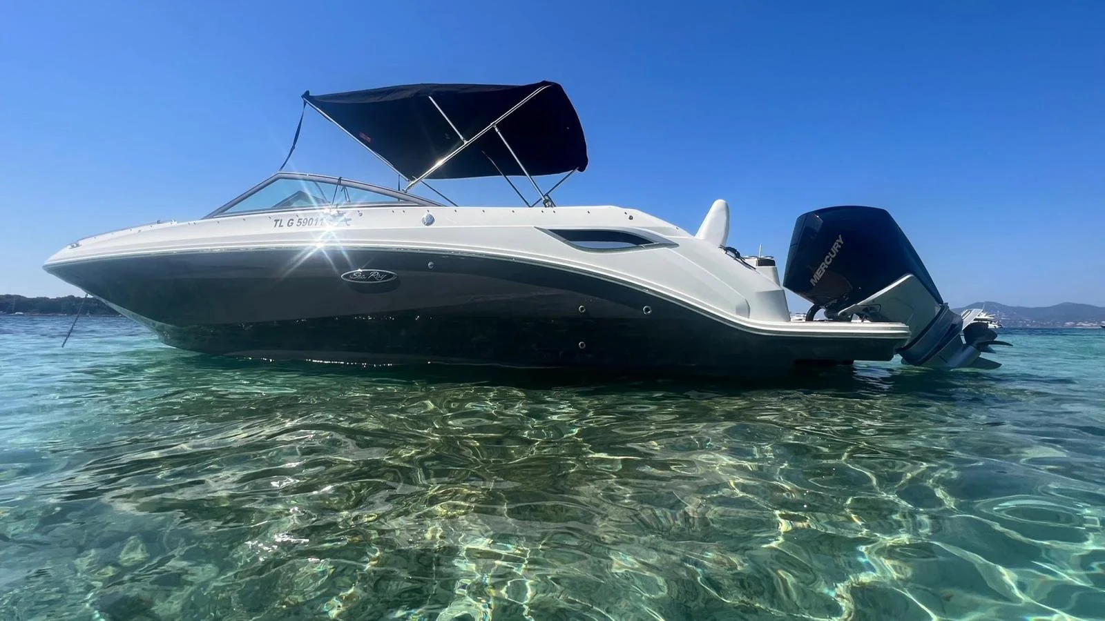 sea ray sdx 250 ob profil mouillage